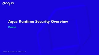 Aqua Platform Runtime Security Overview [upl. by Ingaborg]