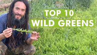 10 Wild Edible Greens to Harvest Foraging Plants [upl. by Higinbotham]