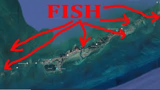 Marathon FLOrida Fishing Step One Prospecting Fishing Spots [upl. by Harden649]