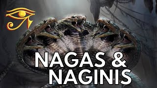 The Nagas amp Naginis  Serpentine Beings of Indian Legend [upl. by Ahsia]