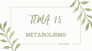 BIOLOGÍA SELECTIVIDAD METABOLISMO [upl. by Benetta]