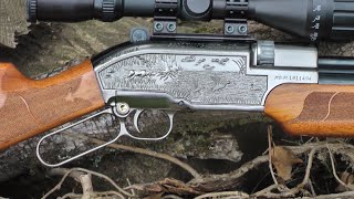 REVIEW Sam Yang Ind  Sumatra 2500 Air Rifle [upl. by Crotty]