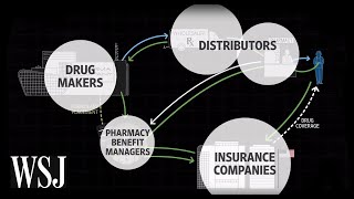 How Drug Prices Work  WSJ [upl. by Karlow436]