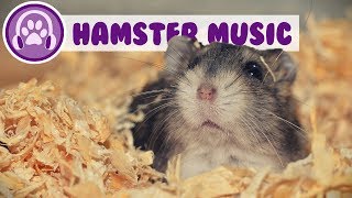 Music for Hamsters  Relaxing ASMR for Your Hamster TESTED [upl. by Whitaker]