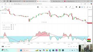 How to use Hilega Milega system NKStockTalk [upl. by Aerdnas]