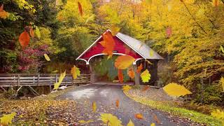 Peaceful music Relaxing music Instrumental music quotAutumn Leaves Tim Janis [upl. by Martin480]