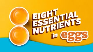 8 Essential Nutrients in Eggs  Ask Organic Valley [upl. by Anneh]