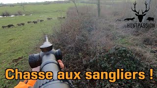 Chasse aux Sangliers 2021  Une belle compagnie [upl. by Rossuck36]