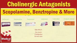 Pharmacology ANS 8 Cholinergic Antagonists Part 1 Atropine  Scopolamine  Benztropine etc [upl. by Nikki]