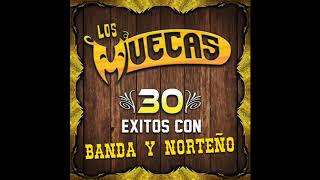 Los Muecas  30 Exitos Con Banda Y Norteño Disco Completo [upl. by Isleana441]