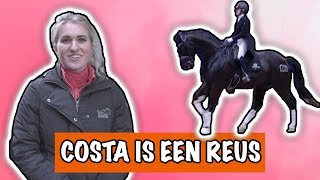 RIJDEN OP EEN MEGA PAARD  PaardenpraatTV [upl. by Faletti]