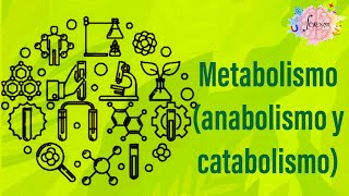 Metabolismo anabolismo y catabolismo [upl. by Burrell]