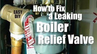 How to Repair a Leaking Boiler Relief Valve Easy DIY [upl. by Atalee]