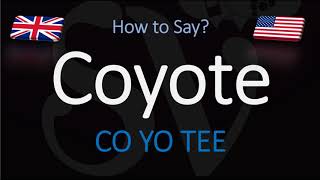 How to Pronounce Coyote  English American Pronunciation [upl. by Alfonse726]