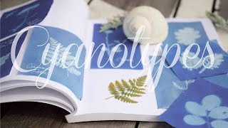 How To Make Botanical Sun Prints  Cyanotypes [upl. by Enajharas]