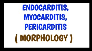 Pericarditis  Causes Symptoms Diagnosis Treatment  Pathology🫀 [upl. by Aretina368]