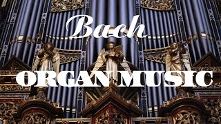 Bach  The Best Organ Music [upl. by Mattias]