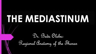 DIVISIONS amp CONTENTS OF THE MEDIASTINUM [upl. by Llecrup]