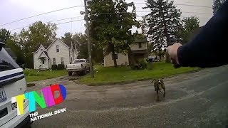 Officer shoots dog that ran at him [upl. by Nhoj]