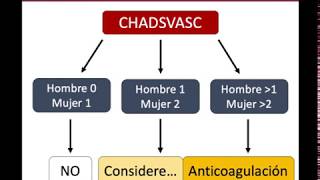 Fibrilación Auricular  ¿Como manejarla [upl. by Lindner]