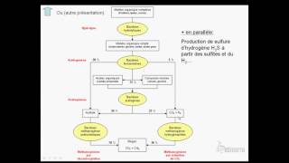 méthanisation 2sur12 Procédé biologique [upl. by Notgnilliw]