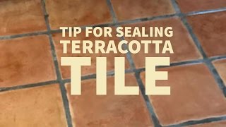 Dont make these Saltillo terracotta Tile Sealing Mistakes [upl. by Fairweather]