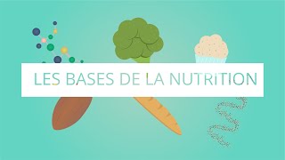 Les bases de la nutrition [upl. by Nhor]