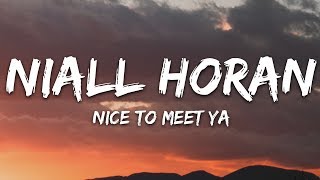 Niall Horan  Nice To Meet Ya Lyrics [upl. by Roose254]