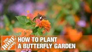 How To Build a Butterfly Garden  The Home Depot [upl. by Tama159]