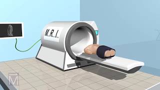 SeeThru Science How MRI Machines Work [upl. by Silverts]