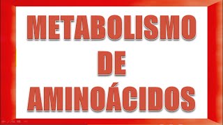 METABOLISMO DE AMINOÁCIDOS [upl. by Bjork824]