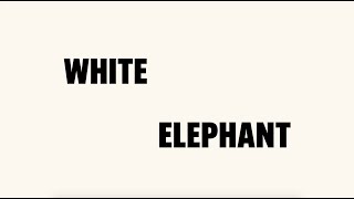 Nick Cave amp Warren Ellis  White Elephant Official Lyric Video [upl. by Chor976]