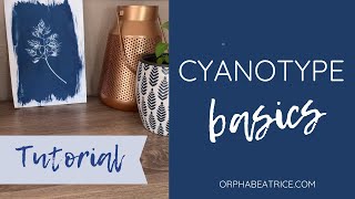 Cyanotype Basics How to use Jacquard Cyanotype Sensitizer Set DIY cyanotype prints [upl. by Kalam680]