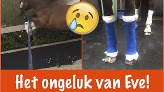 Het ongeluk van Eve  PaardenpraatTV [upl. by Petromilli]