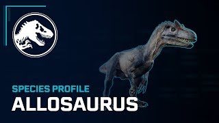 Species Profile  Allosaurus [upl. by Ande265]