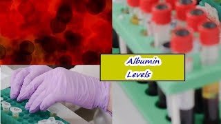 Albumin Levels – High Low Normal Range [upl. by Iclehc782]