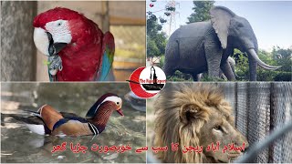 Multi Zoo B17 Islamabad  Tourism  Part 2 [upl. by Ancilin484]