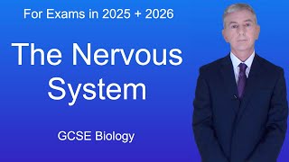 GCSE Biology Revision quotThe Nervous Systemquot [upl. by Assirrac]