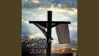 Alabare A Mi Señor [upl. by Ebanreb]