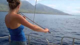 Whales Hang out to Hear Violin [upl. by Doty]