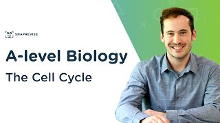 The Cell Cycle  Alevel Biology  OCR AQA Edexcel [upl. by Emoreg]