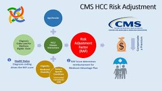 HCC Risk Score Calculator 2019 [upl. by Alakim]