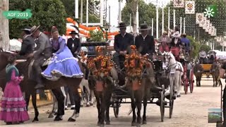 La Feria de Abril primavera en Sevilla [upl. by Anitneuq]