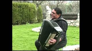 Slobodan Bozinovic Kralj vlaske muzike [upl. by Margie]