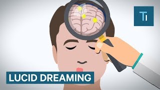 How Lucid Dreaming Works [upl. by Winifred]