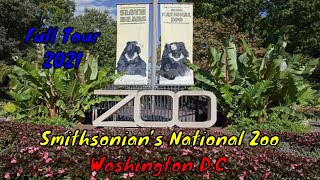 Smithsonian’s National Zoo Full Tour  Washington DC [upl. by Noirod]