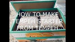 How To Make Tempeh Starter From Tempeh [upl. by Kcolttam]