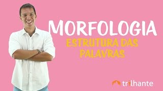 Morfologia Estrutura das Palavras [upl. by Morton]