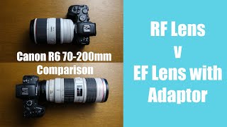 Canon R6 with the EF lens Adapter  Does it work [upl. by Jamal]