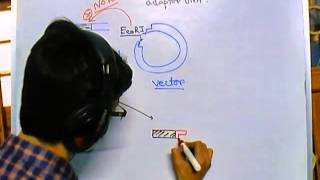 Difference between linker and adaptor DNA [upl. by Eed]